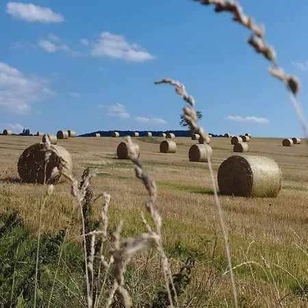 Nyaraló La Maison Labonnechose - Piscine Chauffee - Calme - Jeux