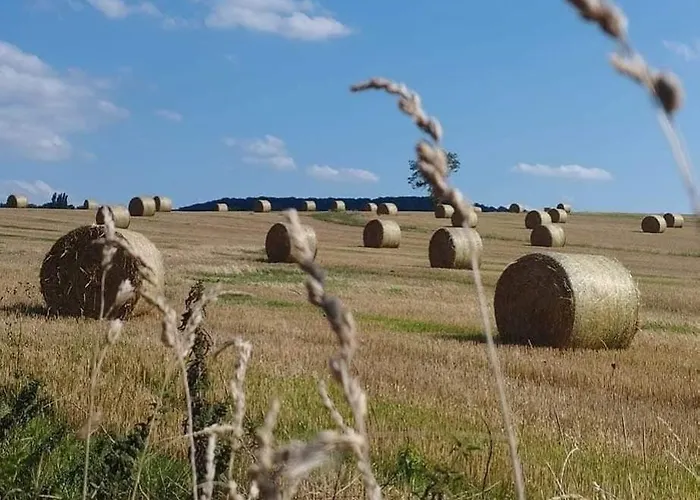 Holiday home La Maison Labonnechose - Piscine Chauffee - Calme - Jeux